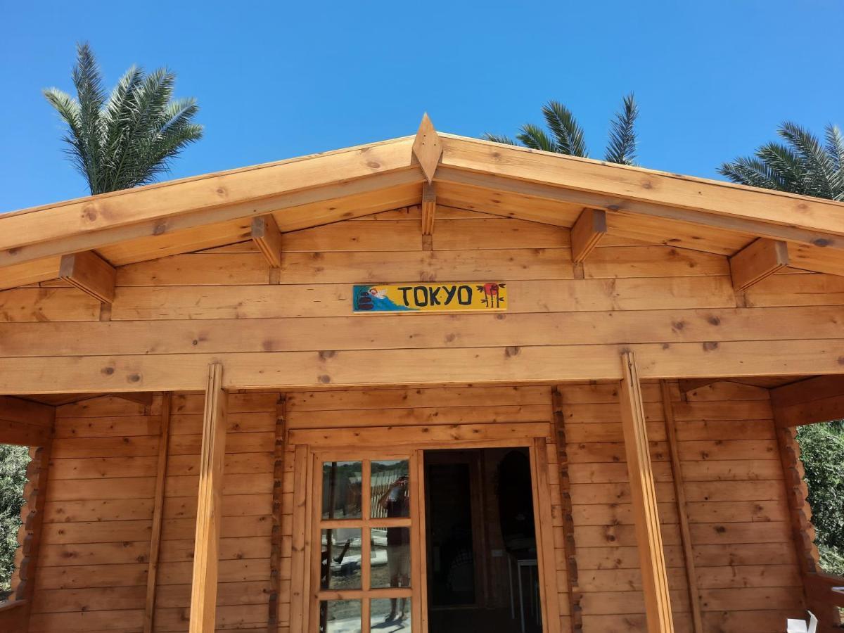 فندق Cyprus Glamping Park Agios Theodoros المظهر الخارجي الصورة