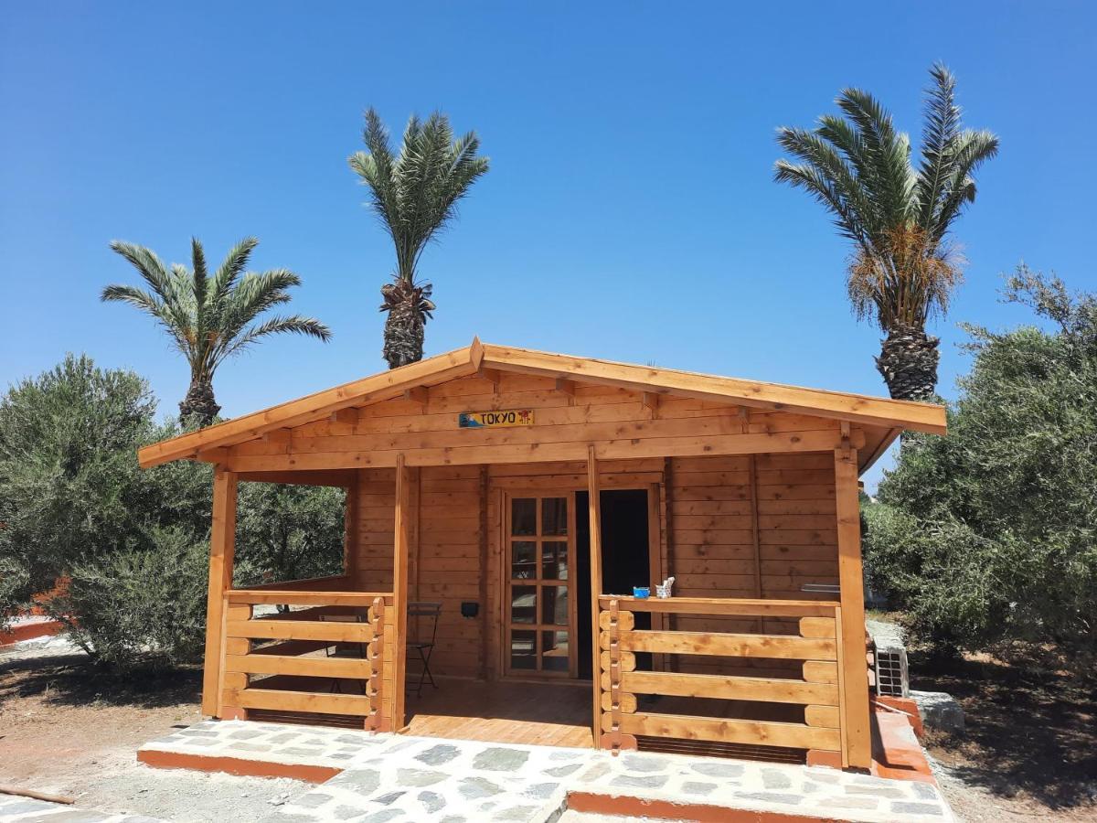 فندق Cyprus Glamping Park Agios Theodoros المظهر الخارجي الصورة
