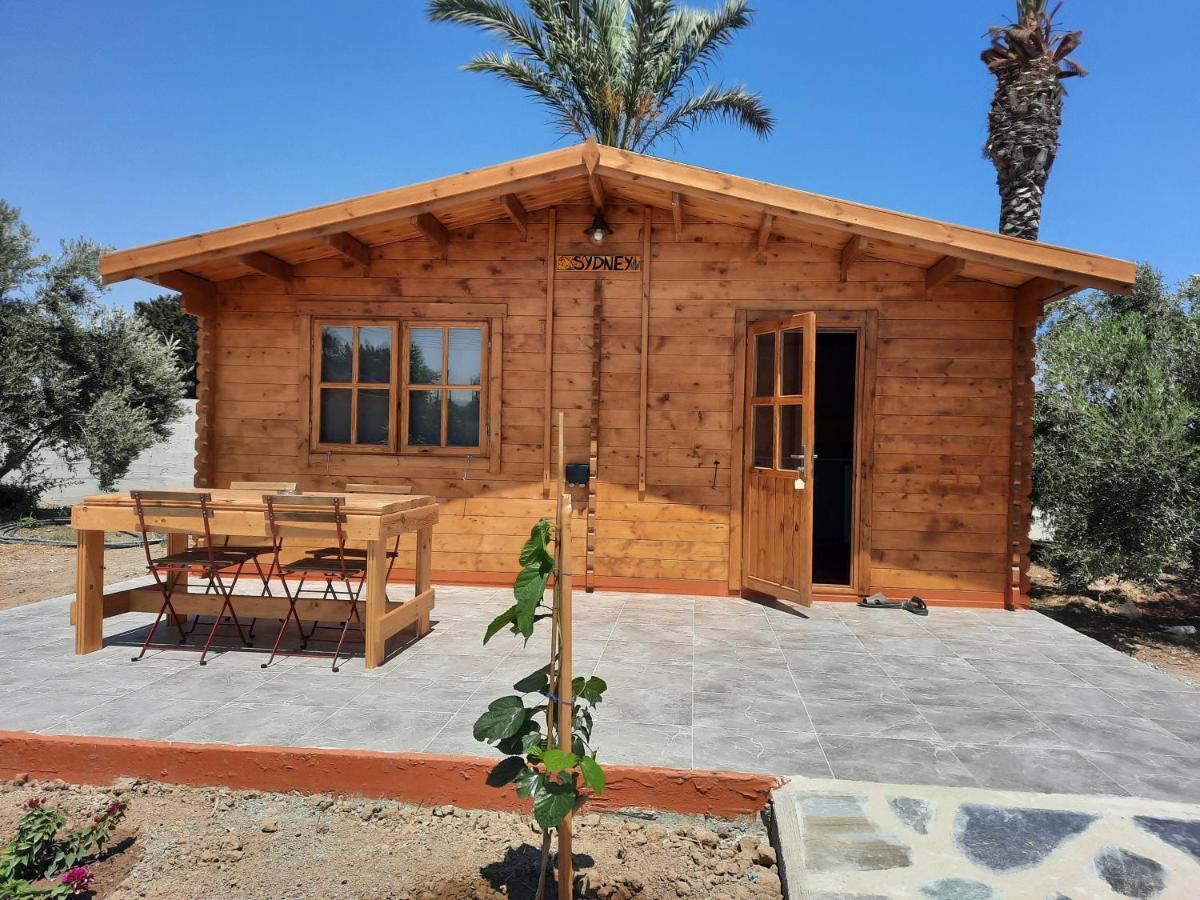 فندق Cyprus Glamping Park Agios Theodoros المظهر الخارجي الصورة